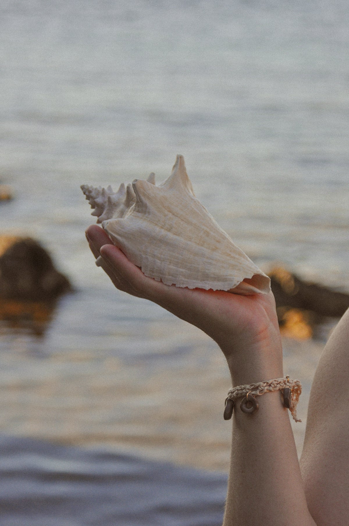 Piña Sable - Bracelet